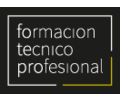 Formacin Tcnico Profesional